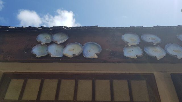 Überall Perlenzucht und Perlenschmuck