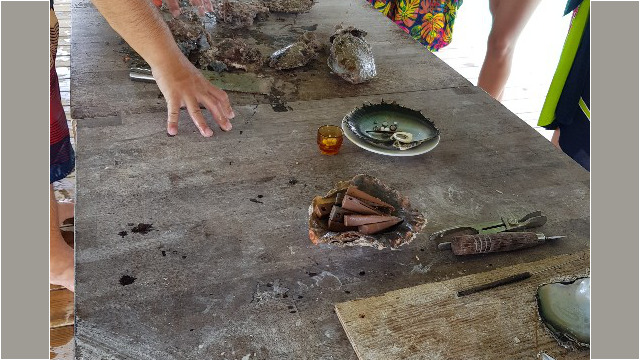 Besuch und Vortrag in einer Perlenzucht