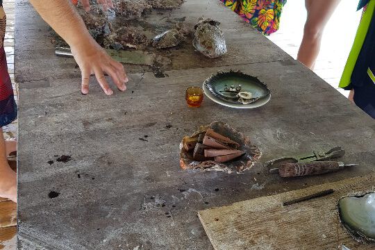 Besuch und Vortrag in einer Perlenzucht