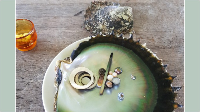 Vortrag in der Perlenfarm: Vorgehen, Historie, Werkzeuge, Merkmale ...sehr interessant! Schwarze Austernhälfte, verschiedene Rohlinge, Perlen im Querschnitt, Keishi