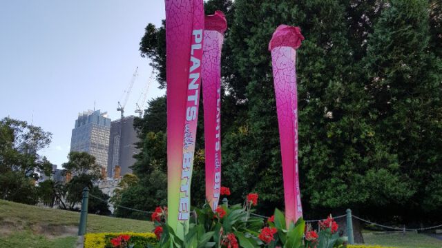 Royal botanic gardens