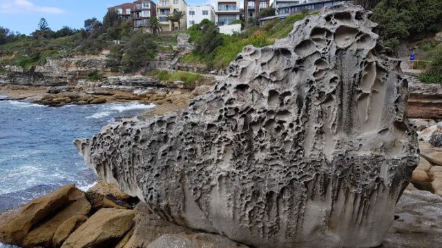 Küstenweg von Bondi Beach nach Coogee Beach