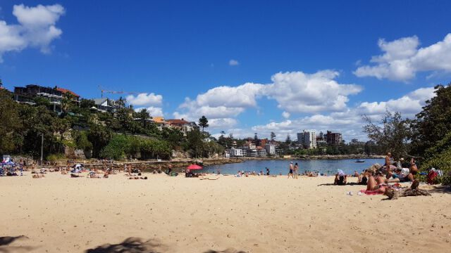 Ein Tag am Shelly Beach