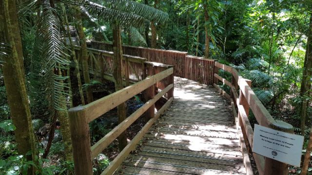 Dschungelcamp bei 40°