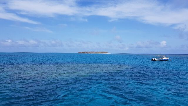 Insel Lady Musgrave am Great Barrier Reef