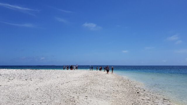 Strand Lady Musgrave Island