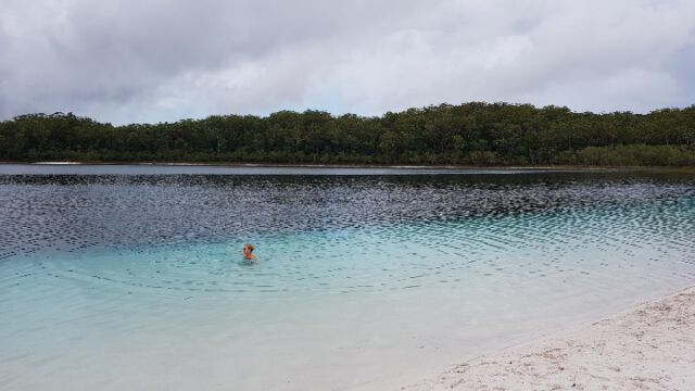 Lake Mc Kinzie (Süßwassersee) mit weißem Sand und türkisem Wasser