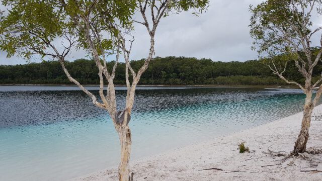 Lake Mc Kinzie (Süßwassersee) mit weißem Sand und türkisem Wasser