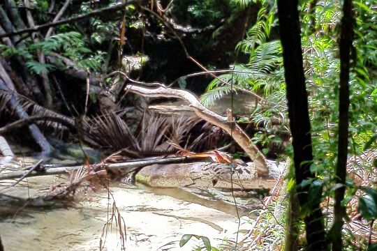 Glasklares, 200 Jahre sandgefiltertes Wasser