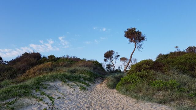 Eigener Hostel-Weg zum Strand